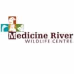 Medicine River Wildlife Centre